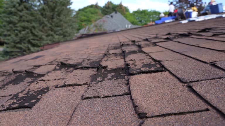 Best Roofing for New Construction  in Stockbridge, MI